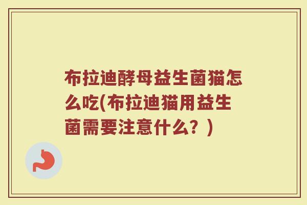 布拉迪酵母益生菌猫怎么吃(布拉迪猫用益生菌需要注意什么？)