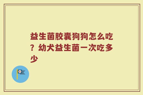 益生菌胶囊狗狗怎么吃?幼犬益生菌一次吃多少 益生菌胶囊狗狗怎么吃?幼犬益生菌一次吃多少