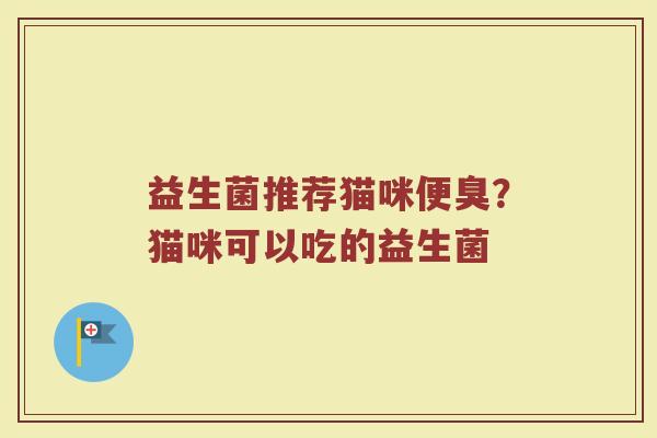 益生菌推荐猫咪便臭？猫咪可以吃的益生菌