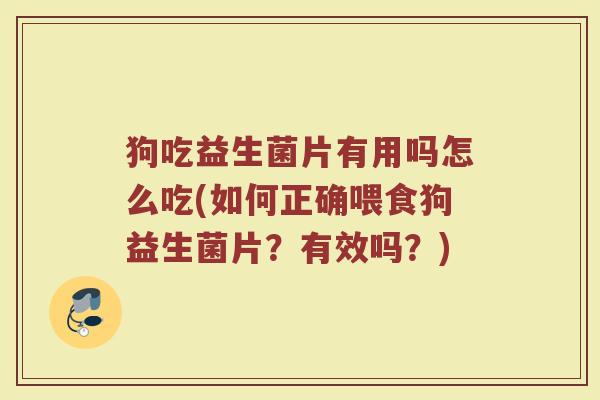 狗吃益生菌片有用吗怎么吃(如何正确喂食狗益生菌片？有效吗？)