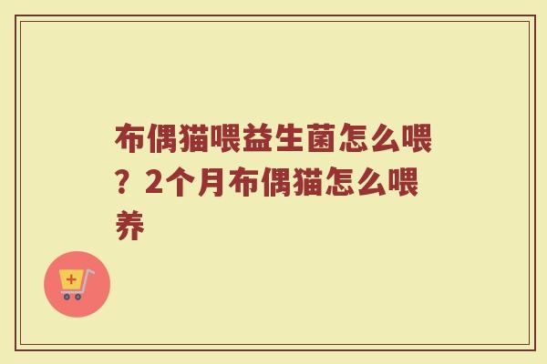 布偶猫喂益生菌怎么喂？2个月布偶猫怎么喂养