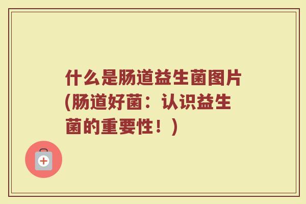 什么是肠道益生菌图片(肠道好菌:认识益生菌的重要性!) 什么是肠道益生菌图片(肠道好菌:认识益生菌的重要性!)