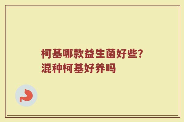 柯基哪款益生菌好些？混种柯基好养吗