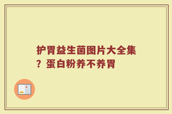 护胃益生菌图片大全集？蛋白粉养不养胃