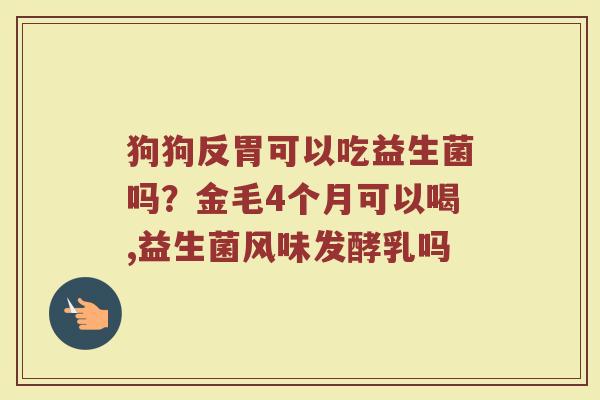 狗狗反胃可以吃益生菌吗？金毛4个月可以喝,益生菌风味发酵乳吗