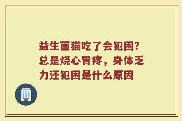 益生菌猫吃了会犯困?总是烧心胃疼,身体乏力还犯困是什么原因 益生菌猫吃了会犯困?总是烧心胃疼,身体乏力还犯困是什么原因