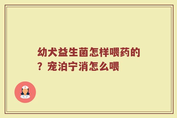 幼犬益生菌怎样喂药的？宠泊宁消怎么喂