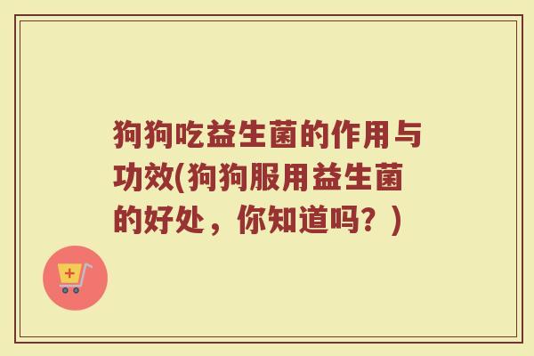 狗狗吃益生菌的作用与功效(狗狗服用益生菌的好处，你知道吗？)