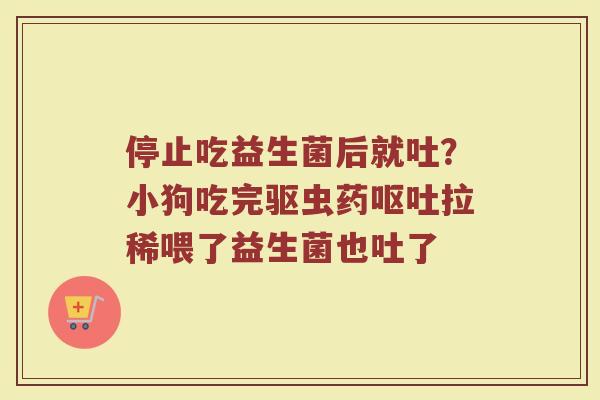 停止吃益生菌后就吐？小狗吃完驱虫药呕吐拉稀喂了益生菌也吐了