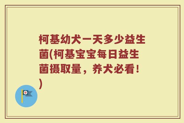 柯基幼犬一天多少益生菌(柯基宝宝每日益生菌摄取量,养犬必看!) 柯基幼犬一天多少益生菌(柯基宝宝每日益生菌摄取量,养犬必看!)