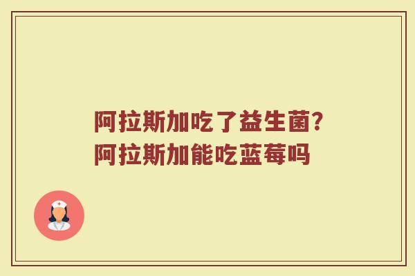 阿拉斯加吃了益生菌?阿拉斯加能吃蓝莓吗 阿拉斯加吃了益生菌?阿拉斯加能吃蓝莓吗