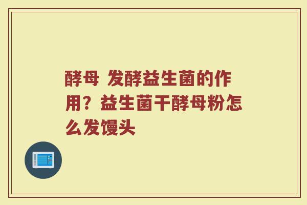 酵母 发酵益生菌的作用？益生菌干酵母粉怎么发馒头