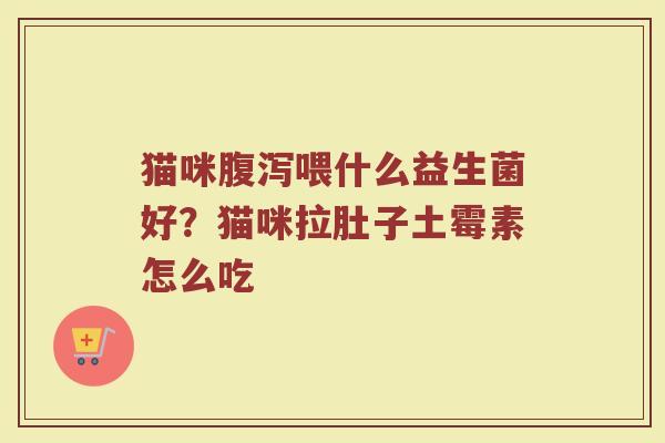 猫咪腹泻喂什么益生菌好？猫咪拉肚子土霉素怎么吃