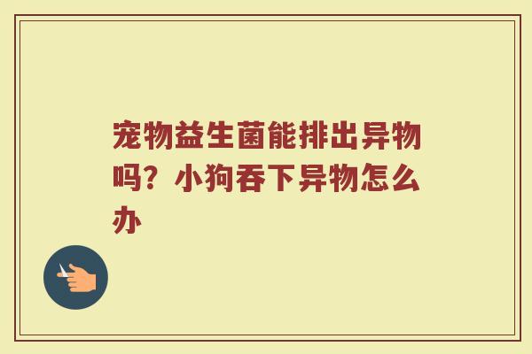 宠物益生菌能排出异物吗？小狗吞下异物怎么办