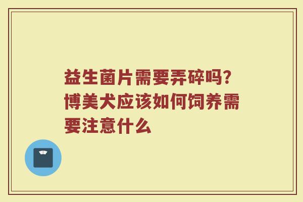 益生菌片需要弄碎吗?博美犬应该如何饲养需要注意什么 益生菌片需要弄碎吗?博美犬应该如何饲养需要注意什么