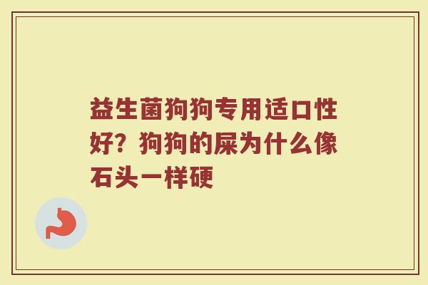 益生菌狗狗专用适口性好？狗狗的屎为什么像石头一样硬