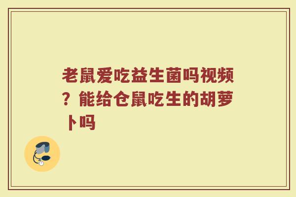 老鼠爱吃益生菌吗视频？能给仓鼠吃生的胡萝卜吗