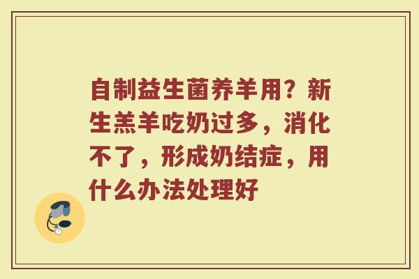 自制益生菌养羊用？新生羔羊吃奶过多，消化不了，形成奶结症，用什么办法处理好