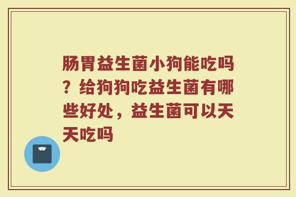肠胃益生菌小狗能吃吗？给狗狗吃益生菌有哪些好处，益生菌可以天天吃吗