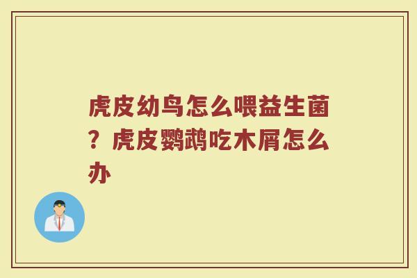 虎皮幼鸟怎么喂益生菌？虎皮鹦鹉吃木屑怎么办