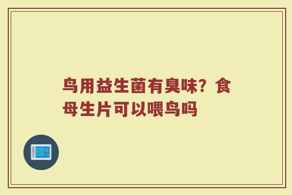 鸟用益生菌有臭味？食母生片可以喂鸟吗