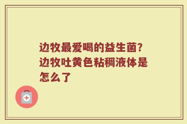 边牧最爱喝的益生菌？边牧吐黄色粘稠液体是怎么了