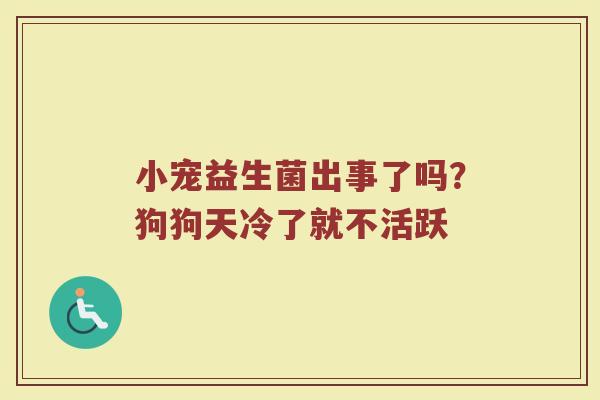 小宠益生菌出事了吗？狗狗天冷了就不活跃