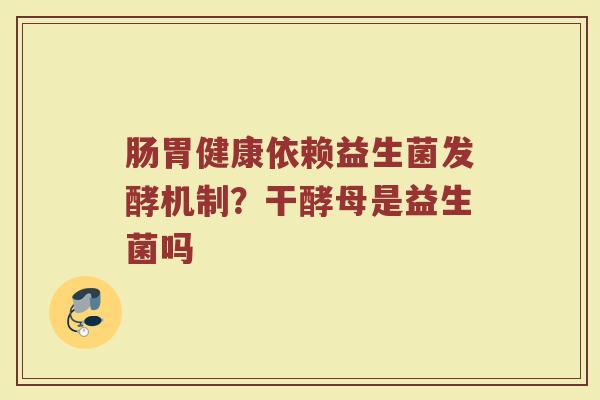 肠胃健康依赖益生菌发酵机制？干酵母是益生菌吗