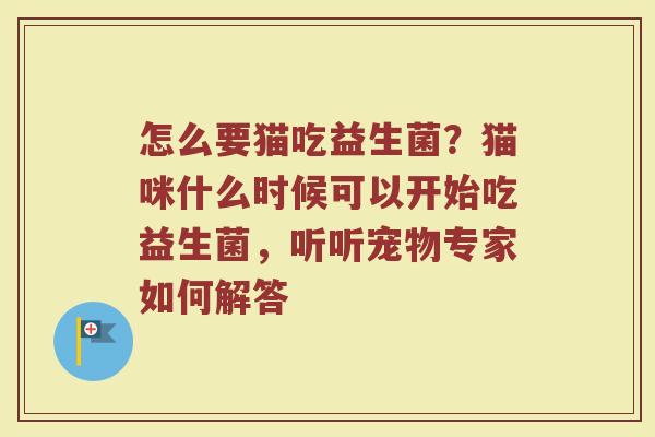 怎么要猫吃益生菌?猫咪什么时候可以开始吃益生菌,听听宠物专家如何解答 怎么要猫吃益生菌?猫咪什么时候可以开始吃益生菌,听听宠物专家如何解答