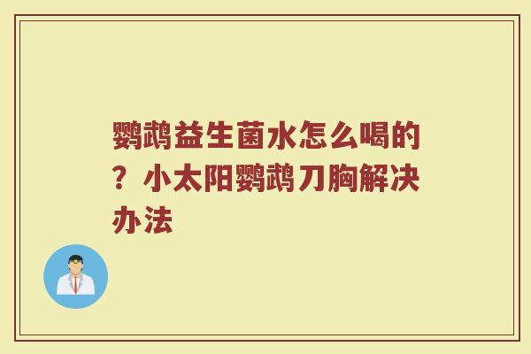 鹦鹉益生菌水怎么喝的？小太阳鹦鹉刀胸解决办法