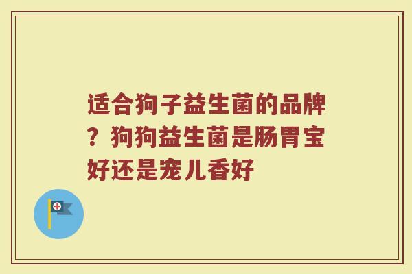 适合狗子益生菌的品牌？狗狗益生菌是肠胃宝好还是宠儿香好