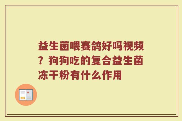益生菌喂赛鸽好吗视频？狗狗吃的复合益生菌冻干粉有什么作用