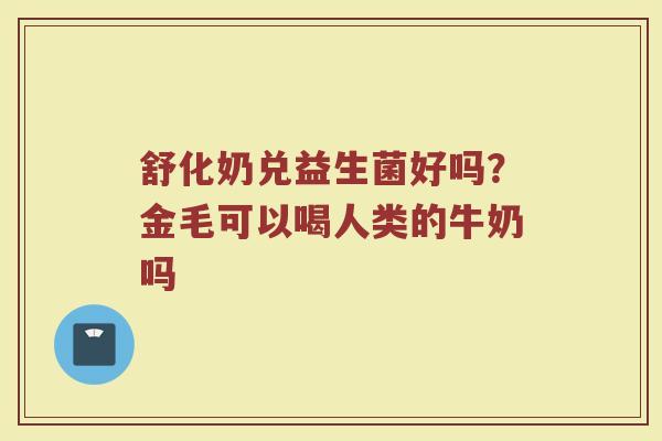 舒化奶兑益生菌好吗？金毛可以喝人类的牛奶吗