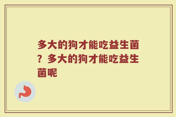 多大的狗才能吃益生菌?多大的狗才能吃益生菌呢