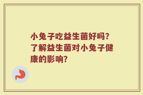 小兔子吃益生菌好吗?了解益生菌对小兔子健康的影响?