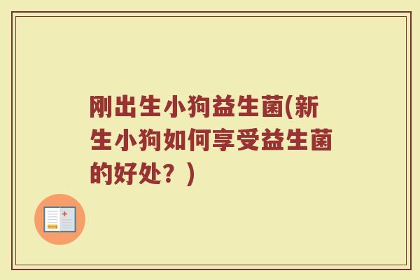 刚出生小狗益生菌(新生小狗如何享受益生菌的好处?)