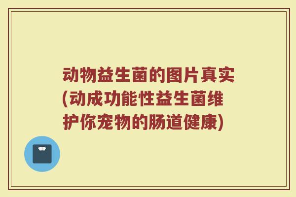 动物益生菌的图片真实(动成功能性益生菌维护你宠物的肠道健康)
