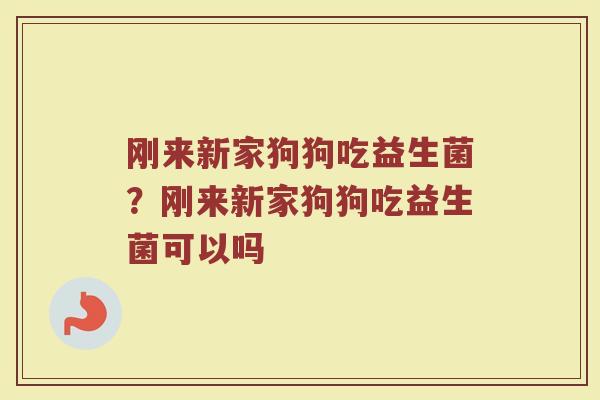 刚来新家狗狗吃益生菌?刚来新家狗狗吃益生菌可以吗