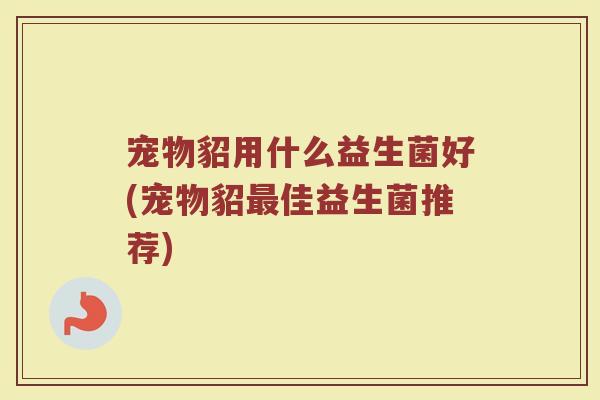 宠物貂用什么益生菌好(宠物貂最佳益生菌推荐)