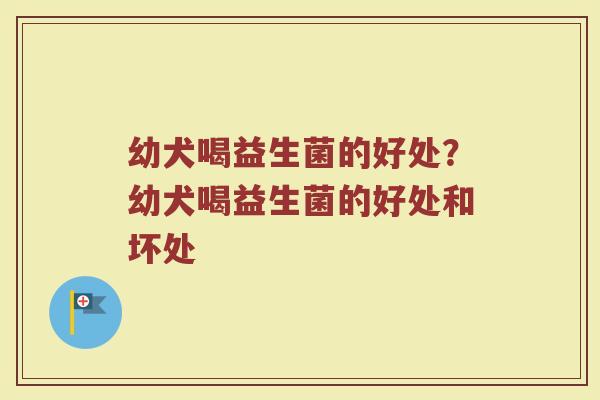 幼犬喝益生菌的好处？幼犬喝益生菌的好处和坏处