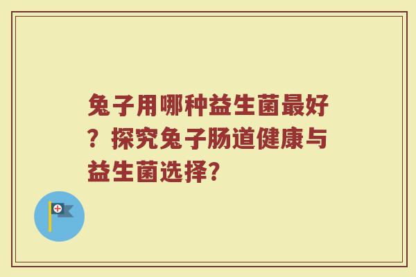 兔子用哪种益生菌最好?探究兔子肠道健康与益生菌选择?