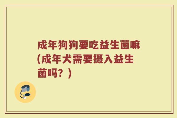 成年狗狗要吃益生菌嘛(成年犬需要摄入益生菌吗？)