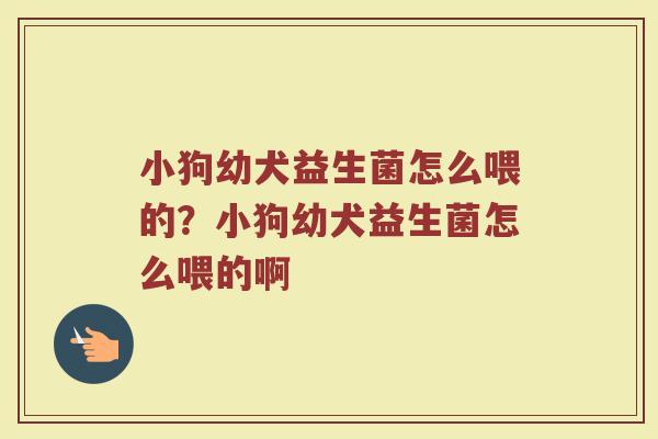 小狗幼犬益生菌怎么喂的?小狗幼犬益生菌怎么喂的啊