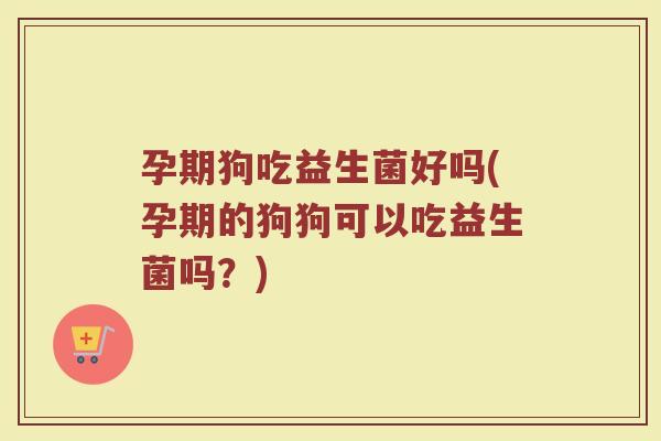 孕期狗吃益生菌好吗(孕期的狗狗可以吃益生菌吗?)