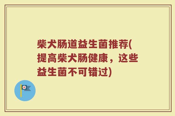 柴犬肠道益生菌推荐(提高柴犬肠健康,这些益生菌不可错过) 柴犬肠道益生菌推荐(提高柴犬肠健康,这些益生菌不可错过)