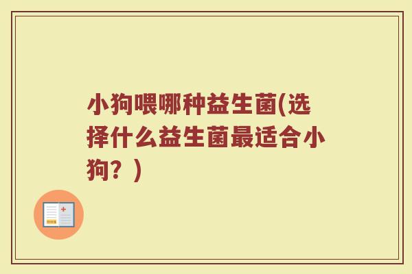 小狗喂哪种益生菌(选择什么益生菌最适合小狗？)