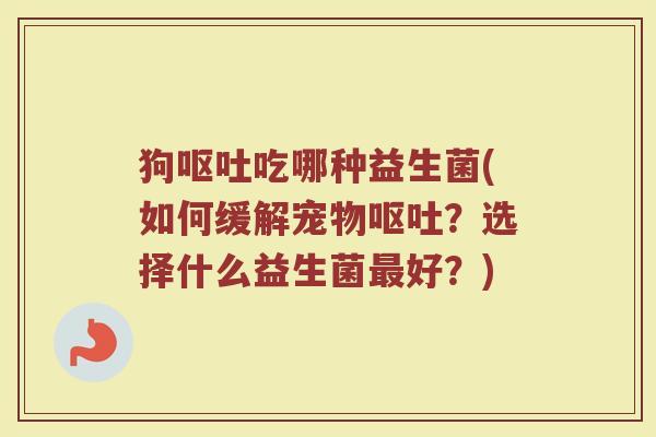 狗呕吐吃哪种益生菌(如何缓解宠物呕吐?选择什么益生菌最好?)