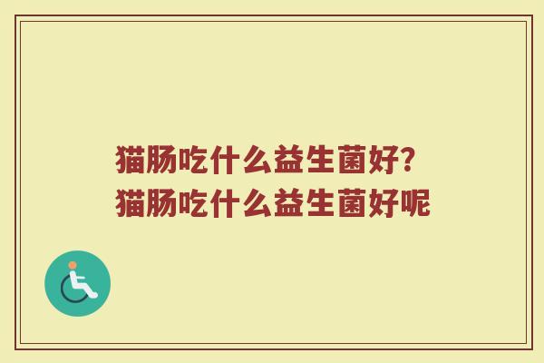 猫肠吃什么益生菌好?猫肠吃什么益生菌好呢