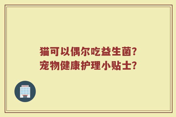 猫可以偶尔吃益生菌?宠物健康护理小贴士?