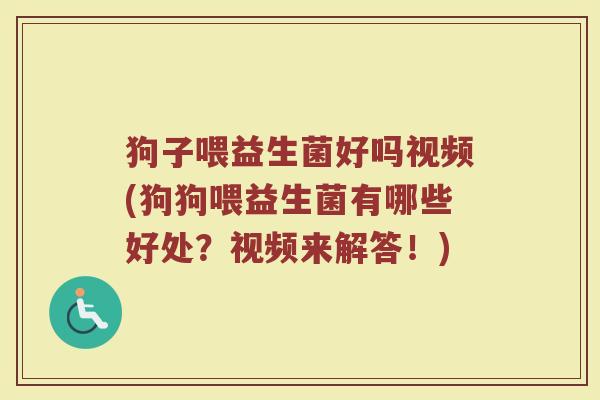 狗子喂益生菌好吗视频(狗狗喂益生菌有哪些好处?视频来解答!)